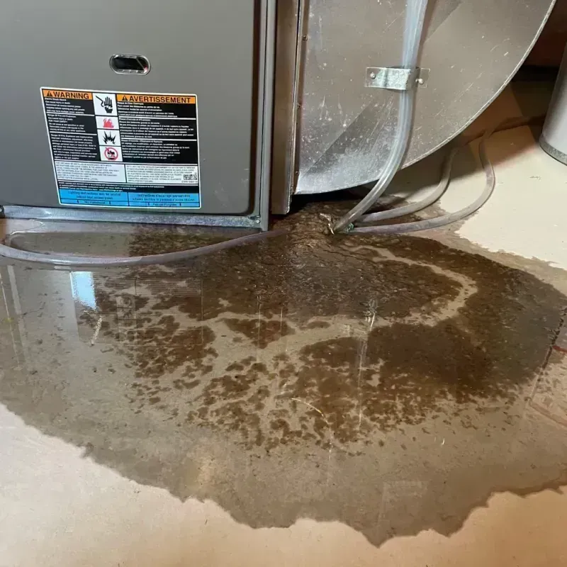 Appliance Leak Cleanup in Upper Alton, IL